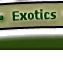 Types of Exotics and Information!